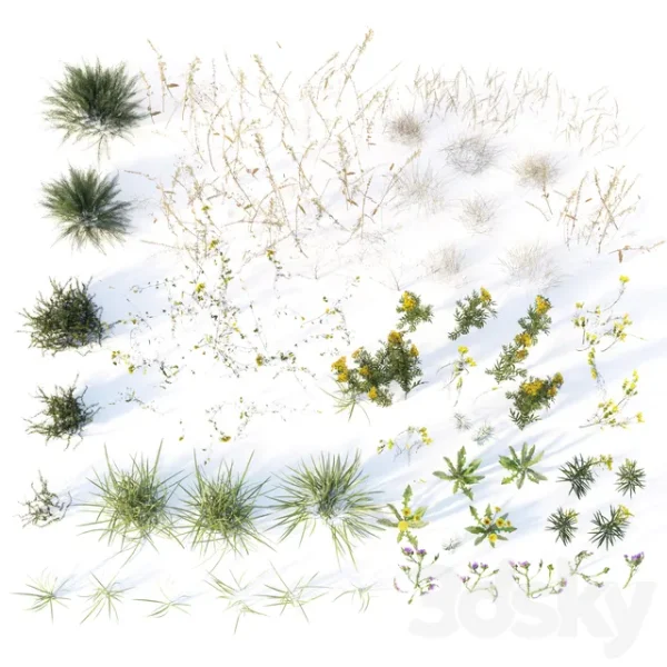 3DSky - Autumn Grass - Image 4