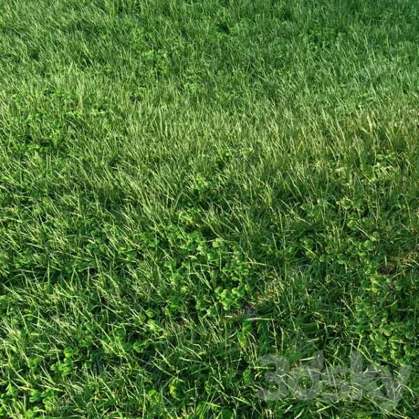 3DSky - Grass 01