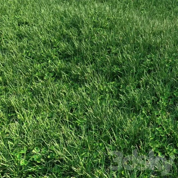 3DSky - Grass 01 - Image 2