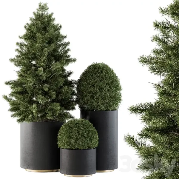 3DSky - Outdoor Plants Tree in Concrete Pot Set 110