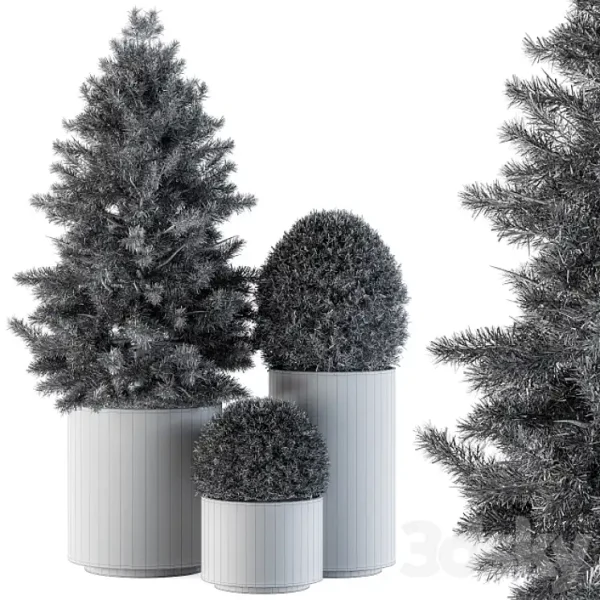 3DSky - Outdoor Plants Tree in Concrete Pot Set 110 - Image 4