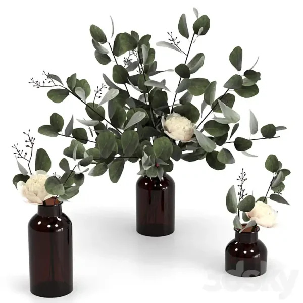 3DSky - Eucalyptus Bouquets