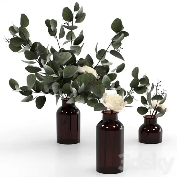 3DSky - Eucalyptus Bouquets - Image 2