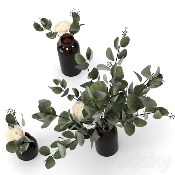 3DSky - Eucalyptus Bouquets - Image 3