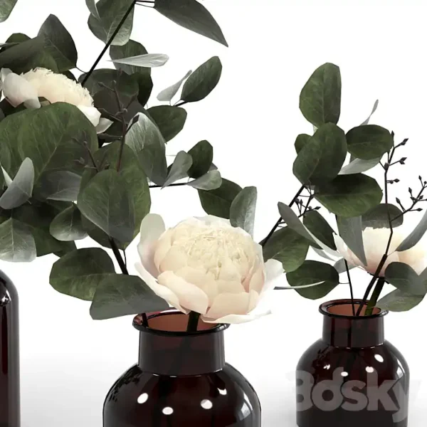 3DSky - Eucalyptus Bouquets - Image 4