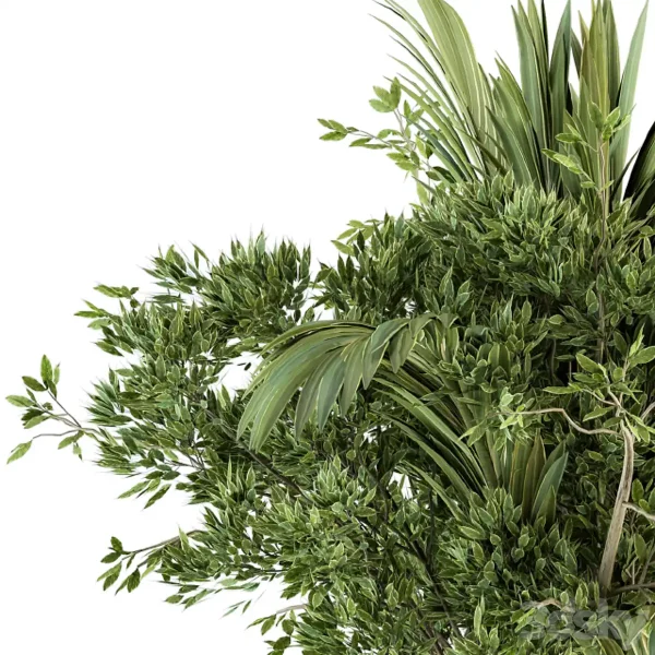 3DSky - Bouquet Branch In Vase 27 - Image 4