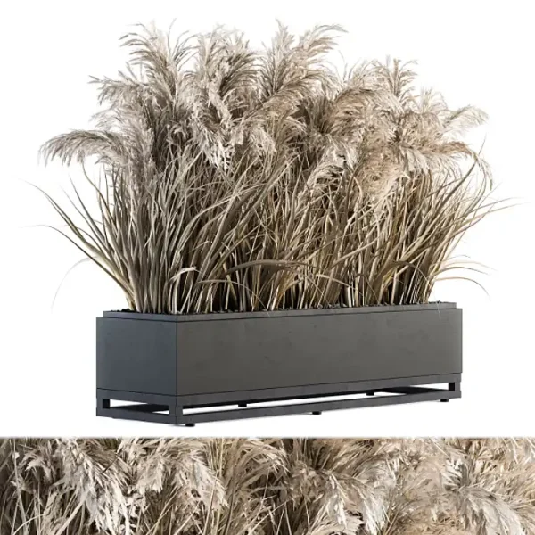 3DSky - Indoor Plant Set 131 Dried Plant Box