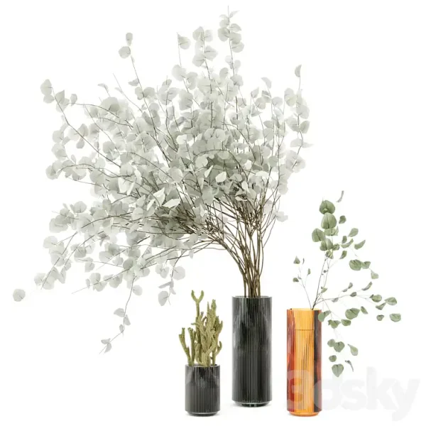 3DSky - Indoor Plants Cactus & Eucalyptus whit Glass Pots