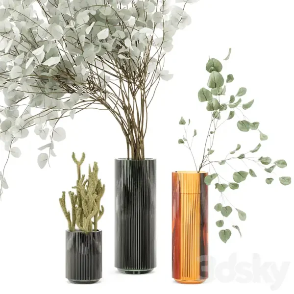 3DSky - Indoor Plants Cactus & Eucalyptus whit Glass Pots - Image 2