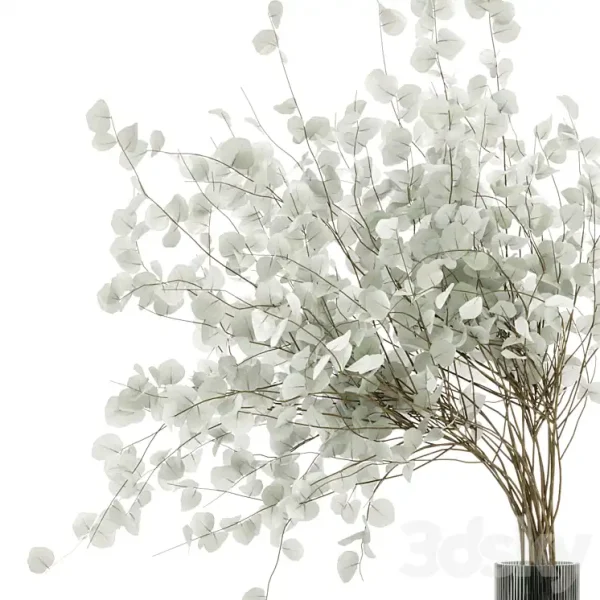 3DSky - Indoor Plants Cactus & Eucalyptus whit Glass Pots - Image 3