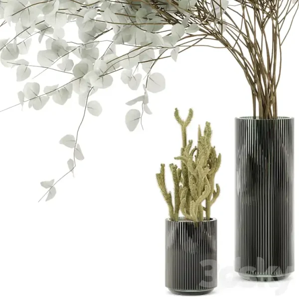 3DSky - Indoor Plants Cactus & Eucalyptus whit Glass Pots - Image 4