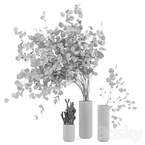 3DSky - Indoor Plants Cactus & Eucalyptus whit Glass Pots - Image 5