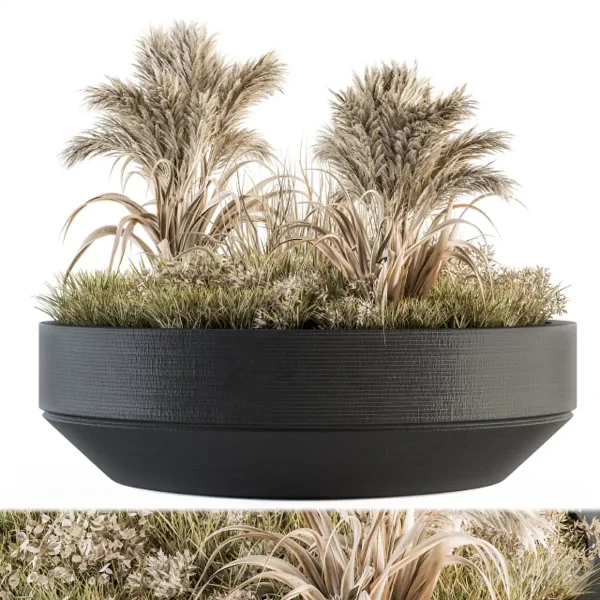 3DSky - Outdoor Plants Tree In Concrete Pot Set 147 - Image 2