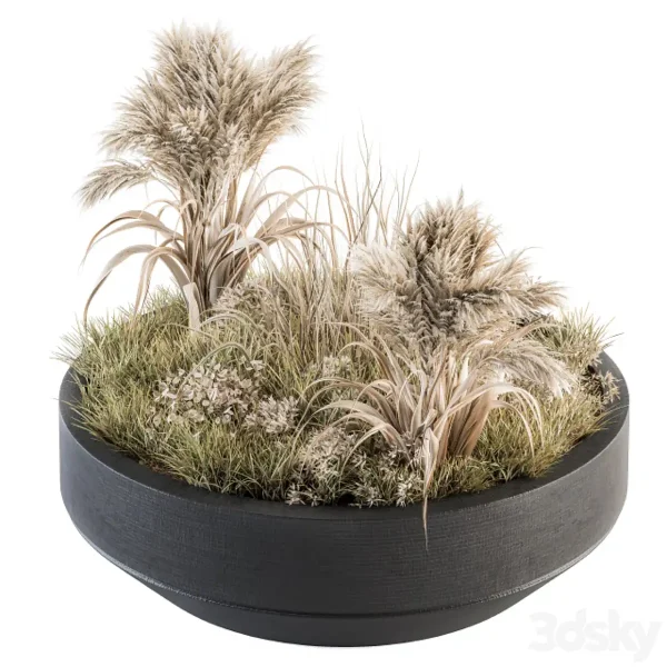 3DSky - Outdoor Plants Tree In Concrete Pot Set 147