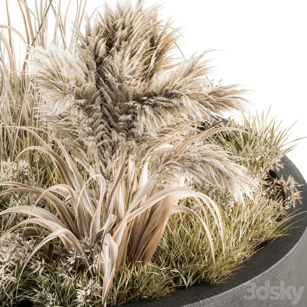 3DSky - Outdoor Plants Tree In Concrete Pot Set 147 - Image 3