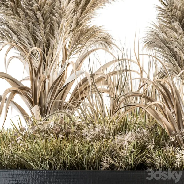 3DSky - Outdoor Plants Tree In Concrete Pot Set 147 - Image 4