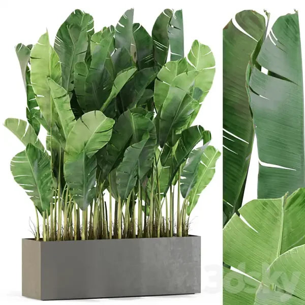 3DSky - Plants Collection 444
