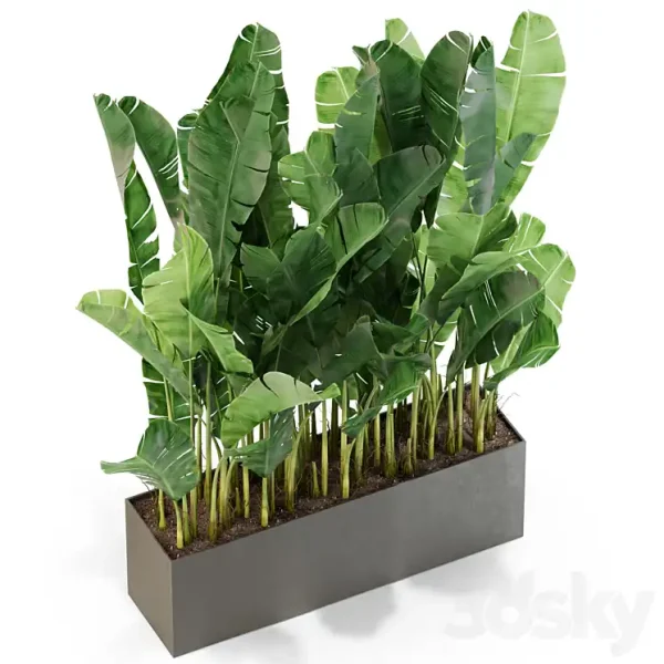 3DSky - Plants Collection 444 - Image 2