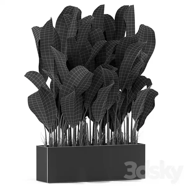 3DSky - Plants Collection 444 - Image 3