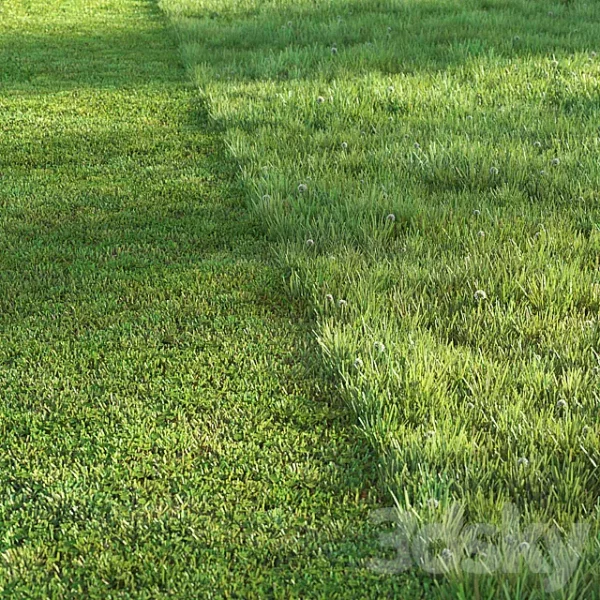 3DSky - Sports Turf