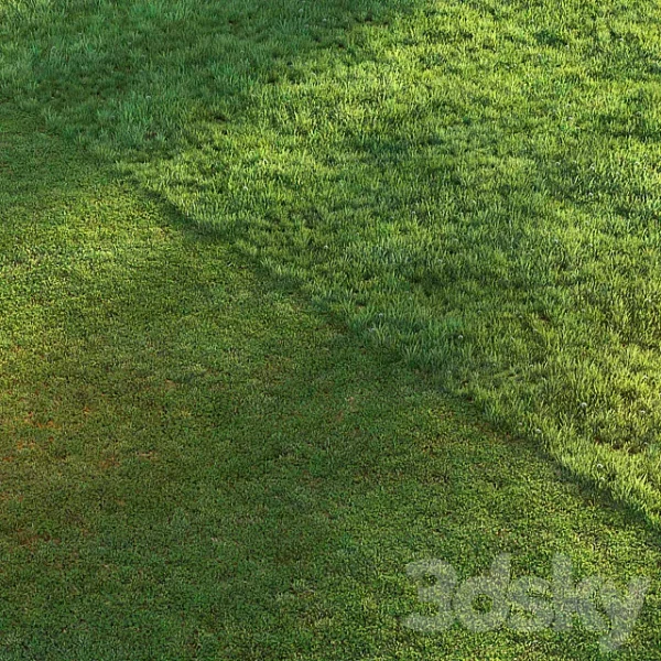 3DSky - Sports Turf - Image 2