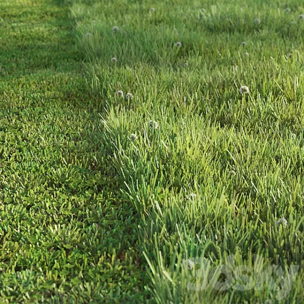 3DSky - Sports Turf - Image 3