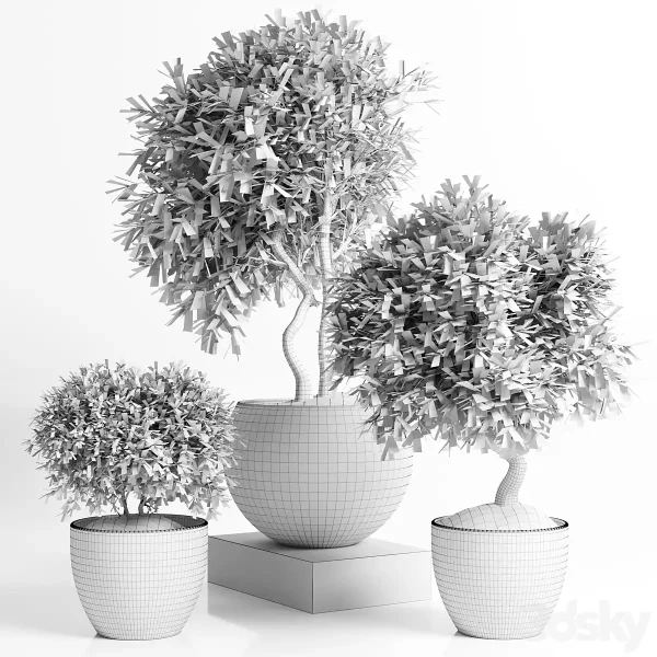 3DSky - Outdoor Plant In Concrete Pot 12 - Image 3