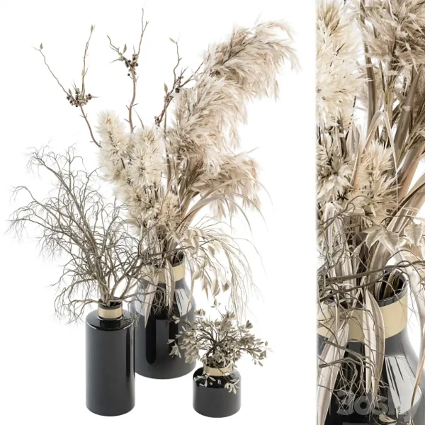 3DSky - Dry plants 70 Dried Pampas Set