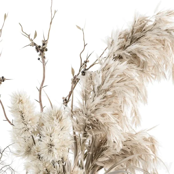 3DSky - Dry plants 70 Dried Pampas Set - Image 2
