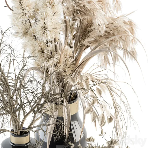 3DSky - Dry plants 70 Dried Pampas Set - Image 3