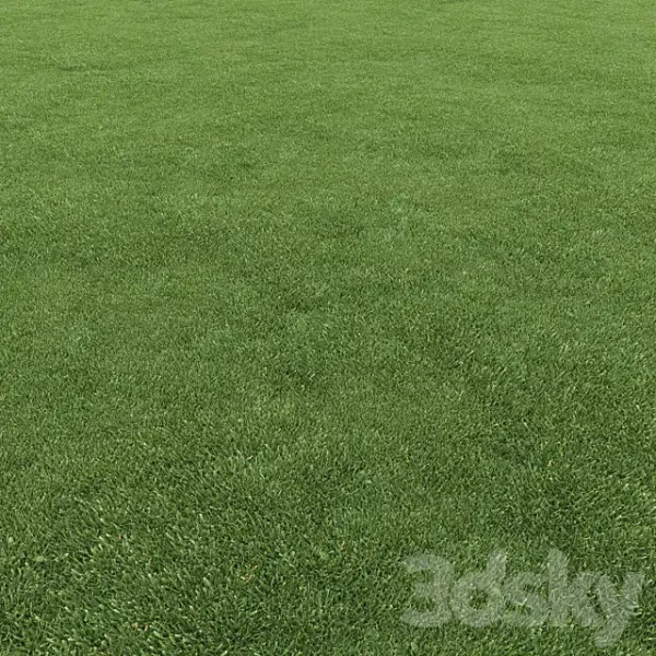 3DSky - Lawn Grass 1 - Image 5