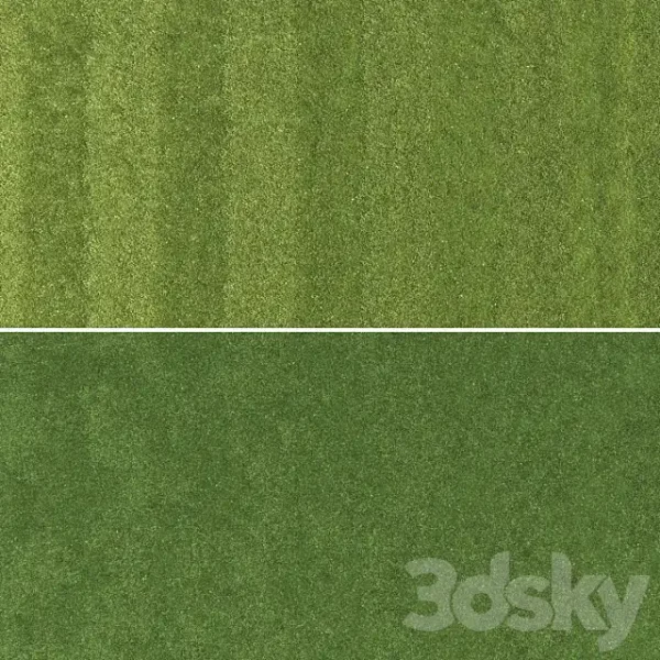 3DSky - Lawn Grass 1 - Image 3