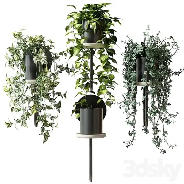 3DSky - Ampel Plants in Wall Planters CIGALES WALL by Miniforms