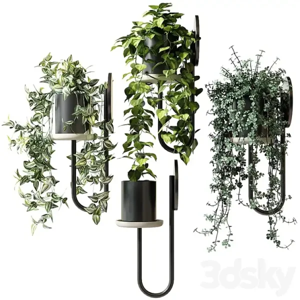 3DSky - Ampel Plants in Wall Planters CIGALES WALL by Miniforms - Image 2