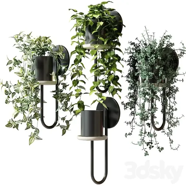 3DSky - Ampel Plants in Wall Planters CIGALES WALL by Miniforms - Image 3