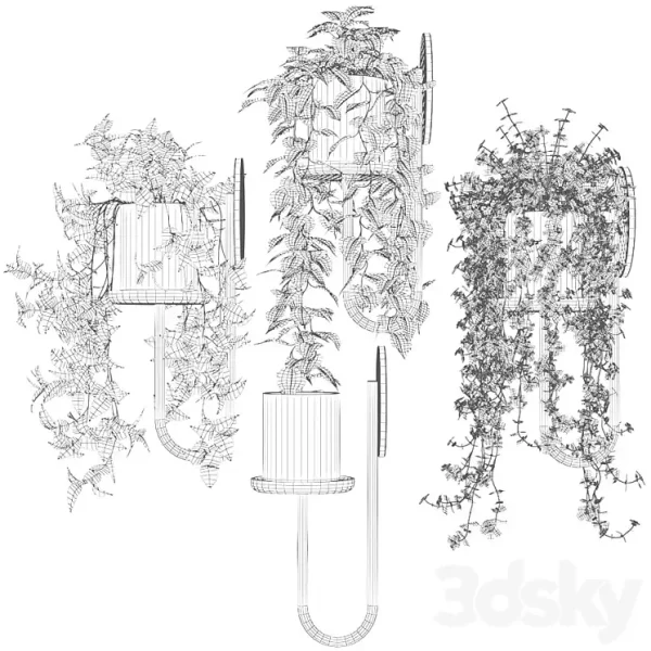 3DSky - Ampel Plants in Wall Planters CIGALES WALL by Miniforms - Image 4