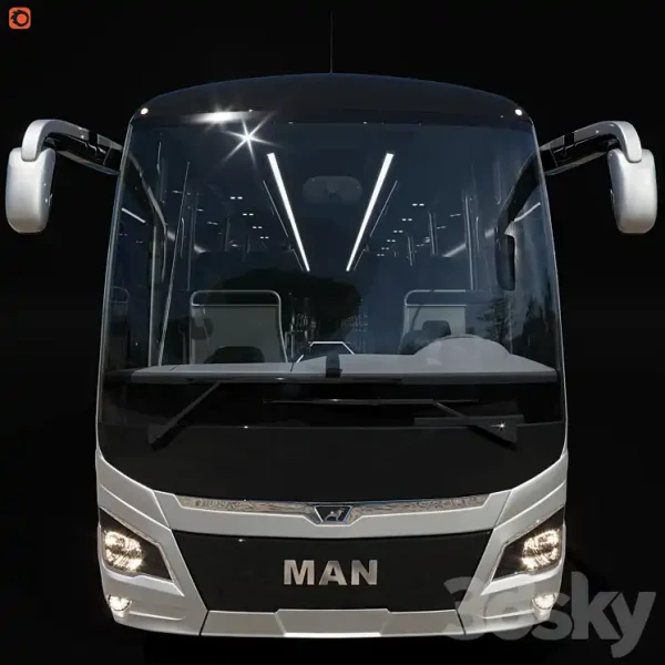 3DSky - Lions Coach Efficient Line - Image 2