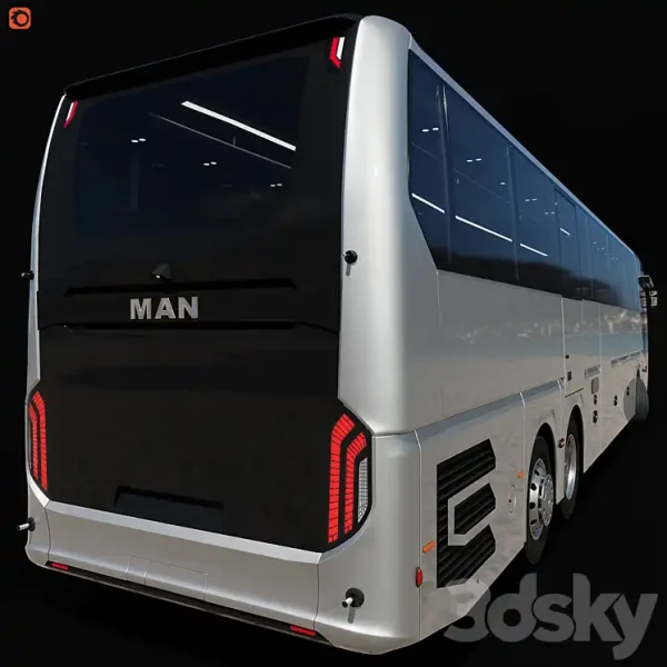 3DSky - Lions Coach Efficient Line - Image 3
