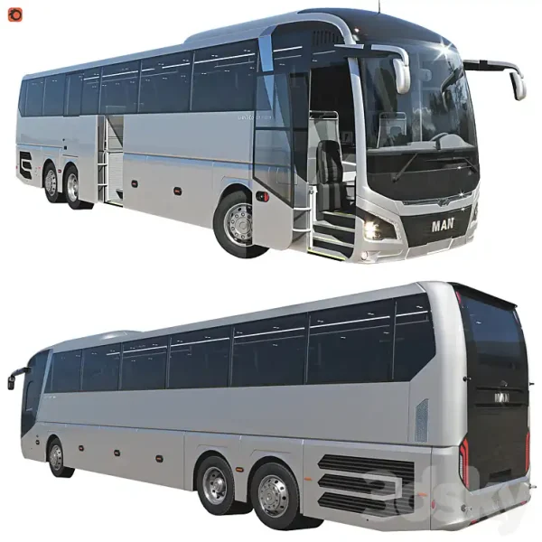 3DSky - Lions Coach Efficient Line