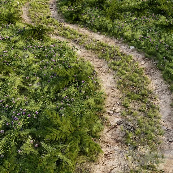 3DSky - Field Road