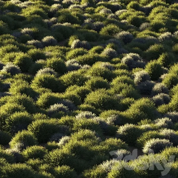 3DSky - Round Grass - Image 2