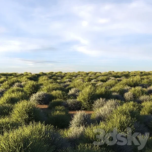 3DSky - Round Grass - Image 4