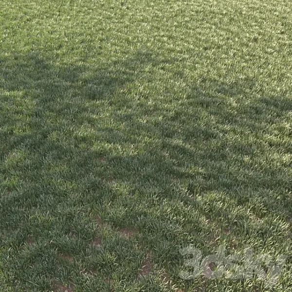 3DSky - Grass for Landscape 11 - Image 3