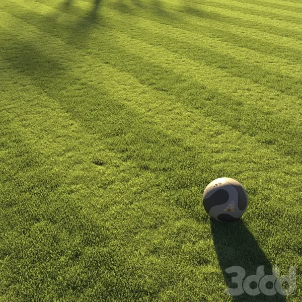 3DSky - Football Pitch Lawn - Image 3