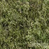 3DSky - Wild Grass Green Grass Set 01 - Image 2