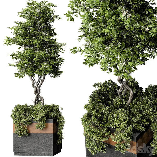 3DSky - Outdoor Plant Set 01