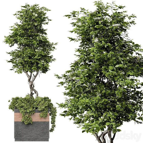 3DSky - Outdoor Plant Set 01 - Image 3