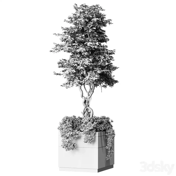 3DSky - Outdoor Plant Set 01 - Image 4