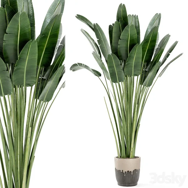 3DSky - Indoor Plants In Handmade Glazed Pot Set 190