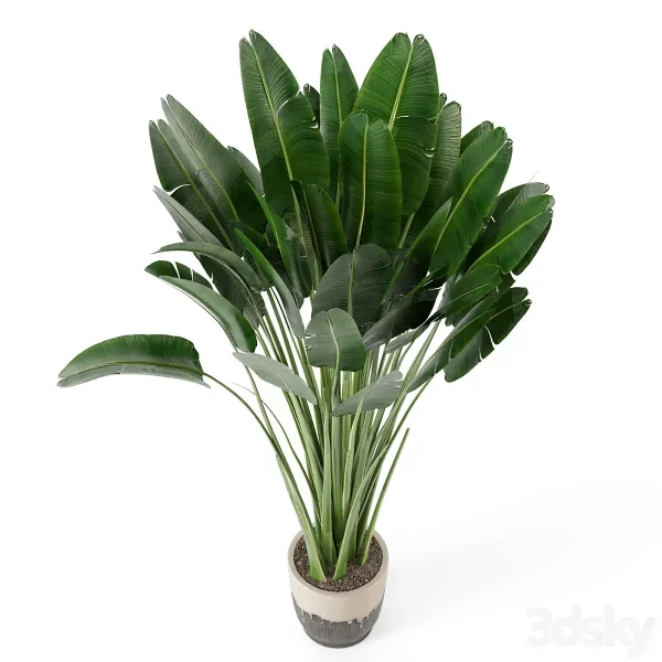 3DSky - Indoor Plants In Handmade Glazed Pot Set 190 - Image 3